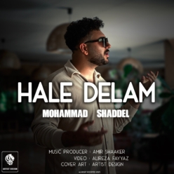 دانلود آهنگ محمد شاددل حال دلم